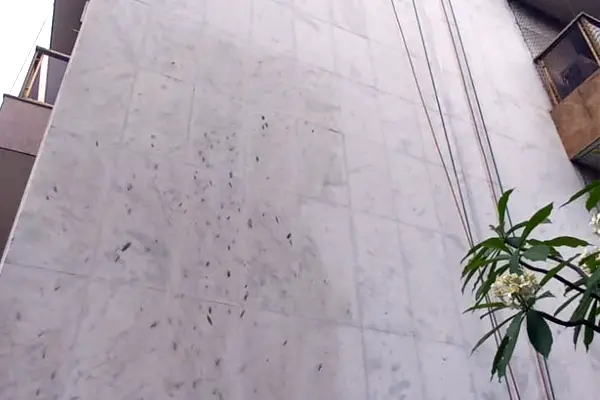 Foto Limpeza de Fachadas